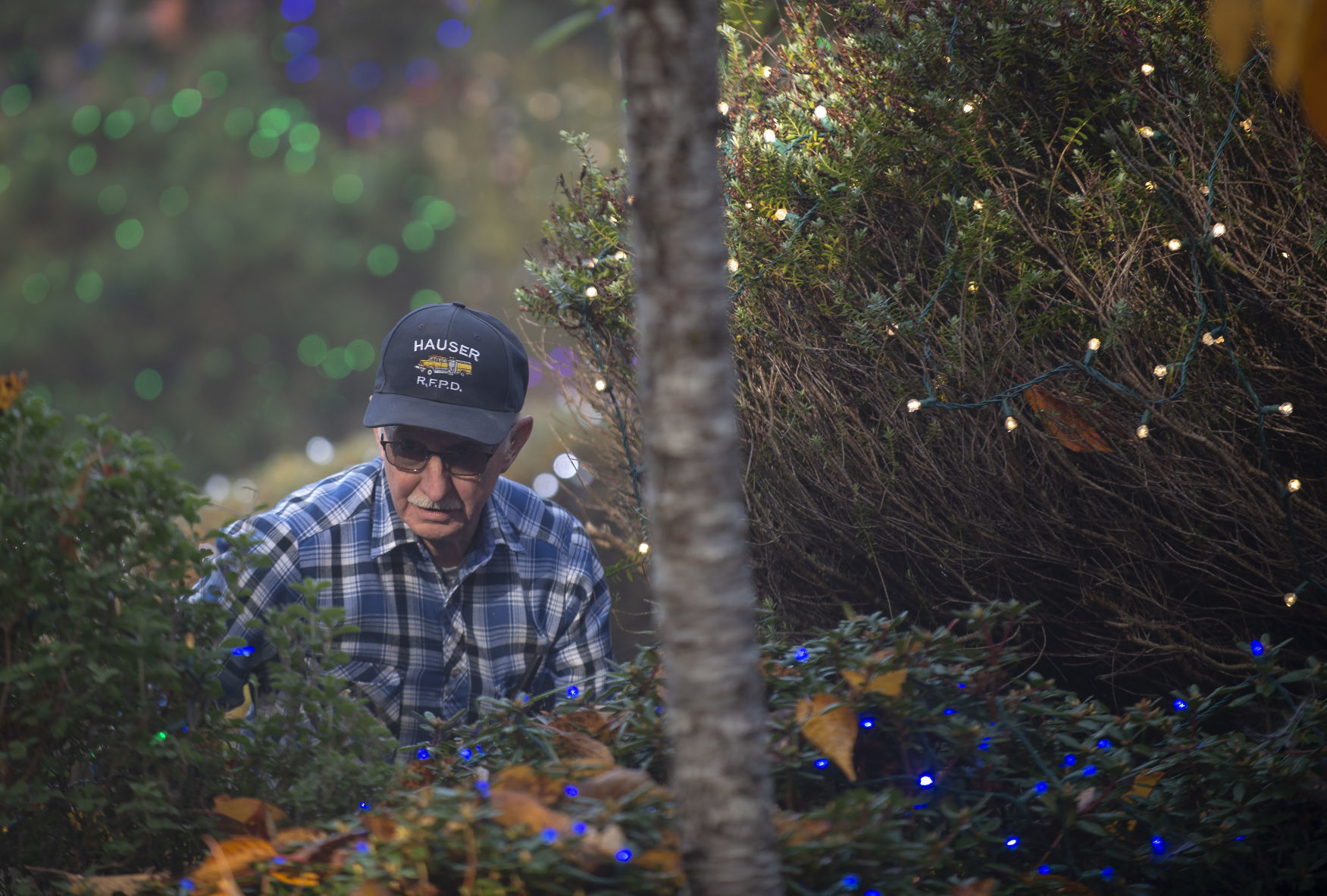Shore Acres Light Setup